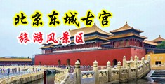 大鸡巴操的逼逼好爽视频中国北京-东城古宫旅游风景区